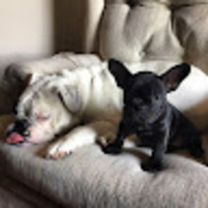 Meet your Posher, Haley